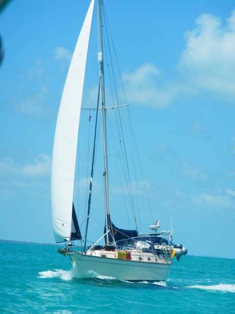Abaco_IS03.jpg (80533 bytes)