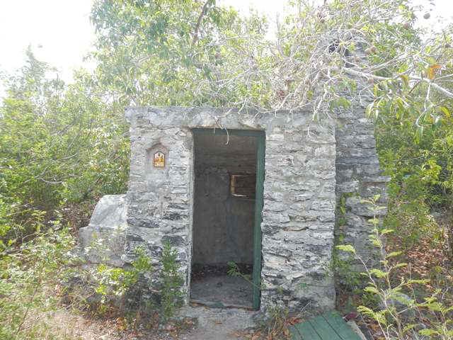 CatHermitage15.jpg (85056 bytes)