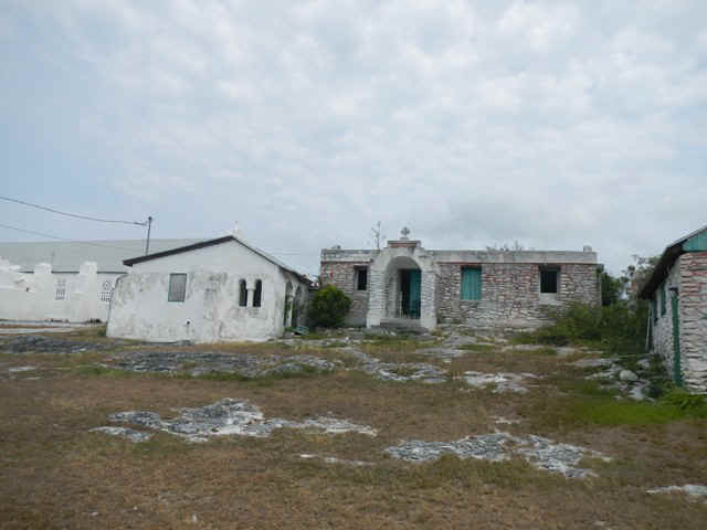 CatRectory.jpg (87284 bytes)