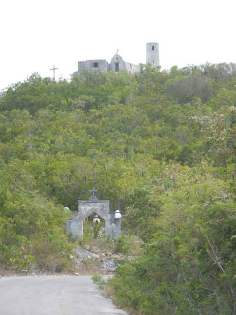 Cat_Hermitage01.jpg (93492 bytes)