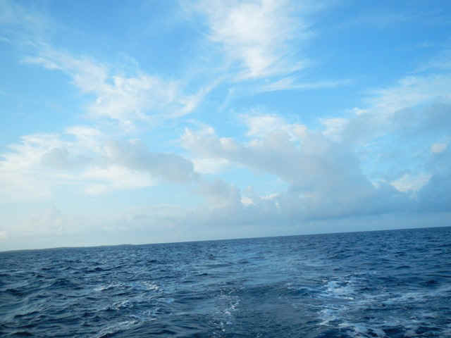 RI_Abaco.jpg (83120 bytes)