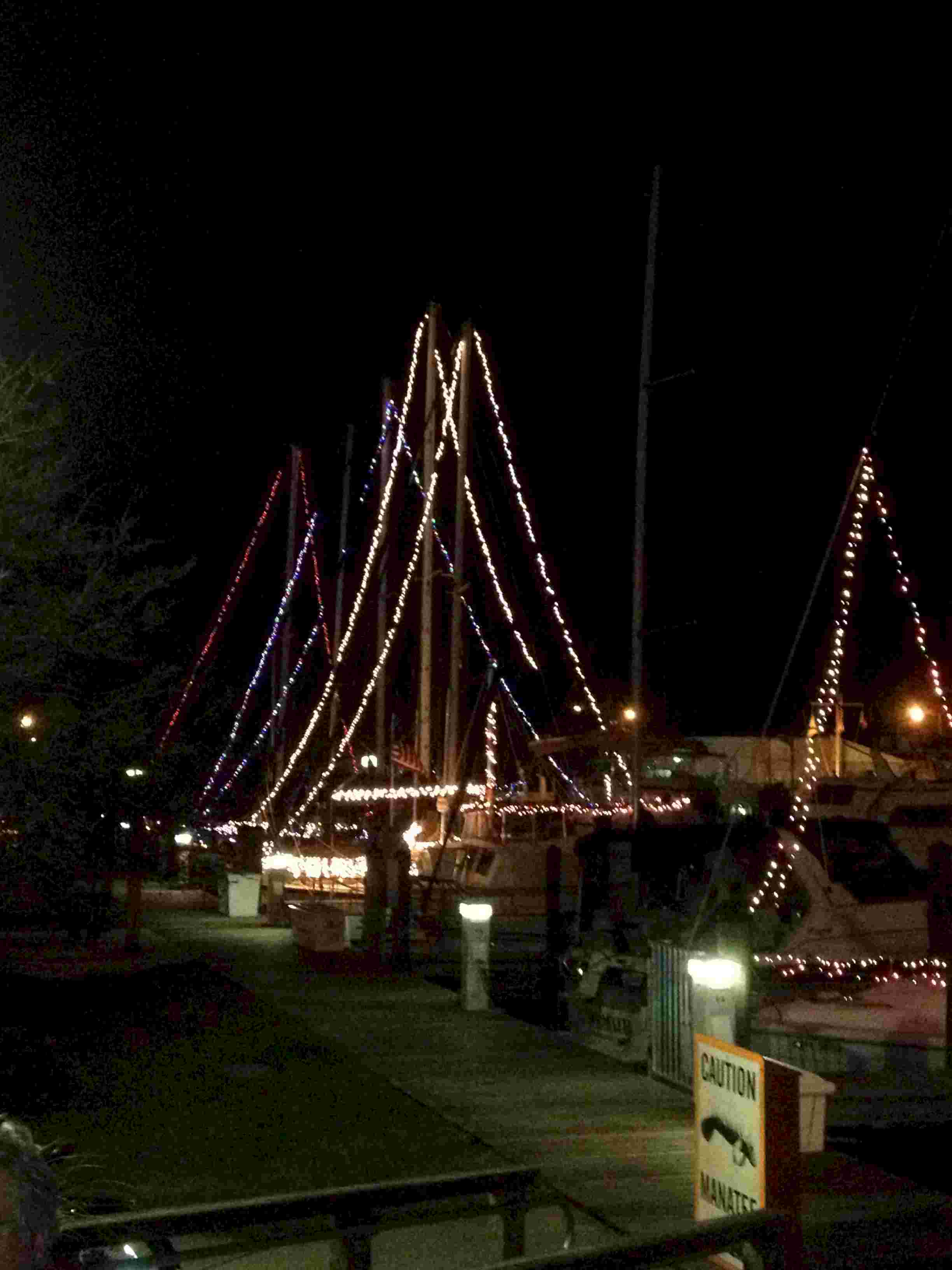 xmas boat Smyrna.jpg (179430 bytes)