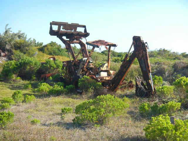 BPS02_backhoe.jpg (83649 bytes)