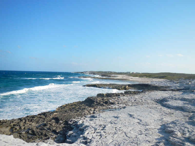 BPS_NaturalJetties.jpg (159894 bytes)