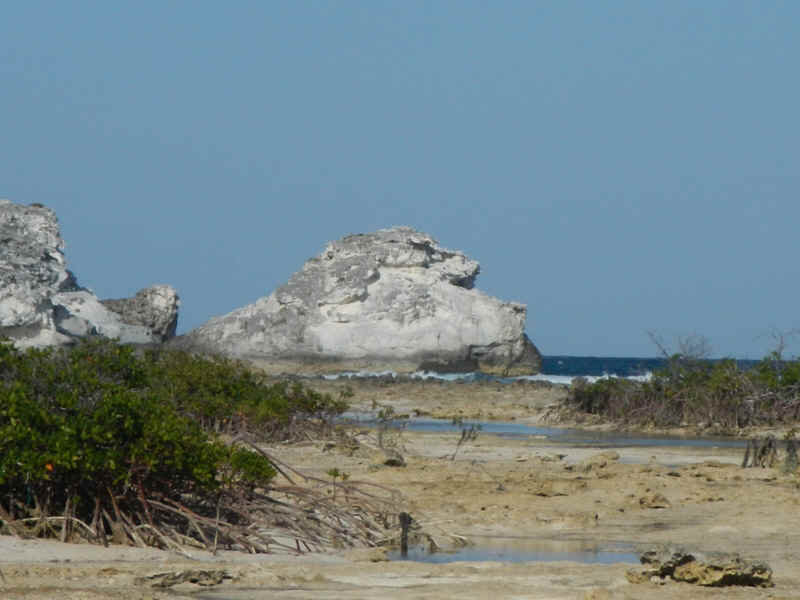 BPS_WhiteHorses.jpg (210861 bytes)