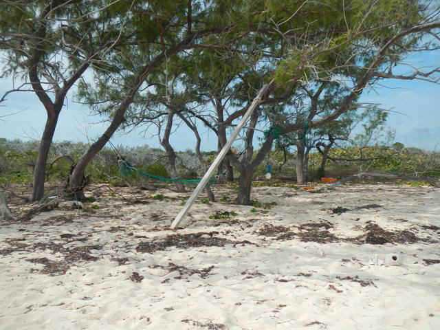 Cambridge02_BellRockBeach.jpg (95833 bytes)