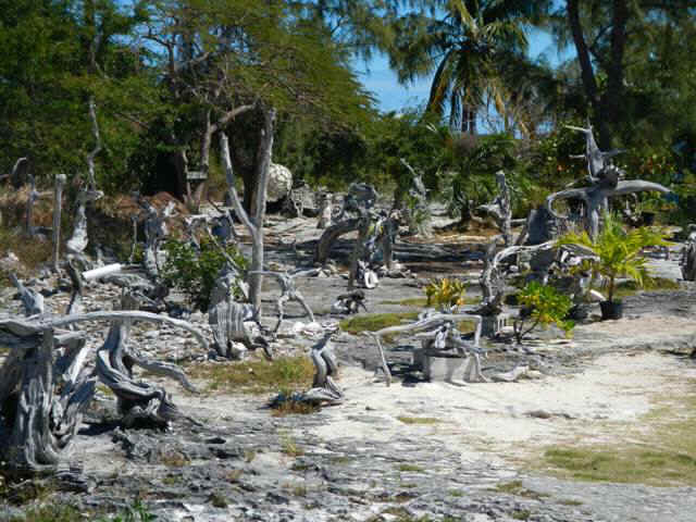 bps02_garden of Eden.jpg (96862 bytes)