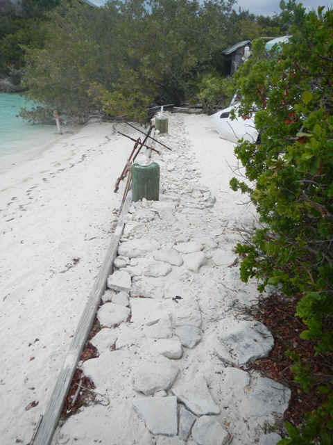 elsp_wall03.jpg (139865 bytes)