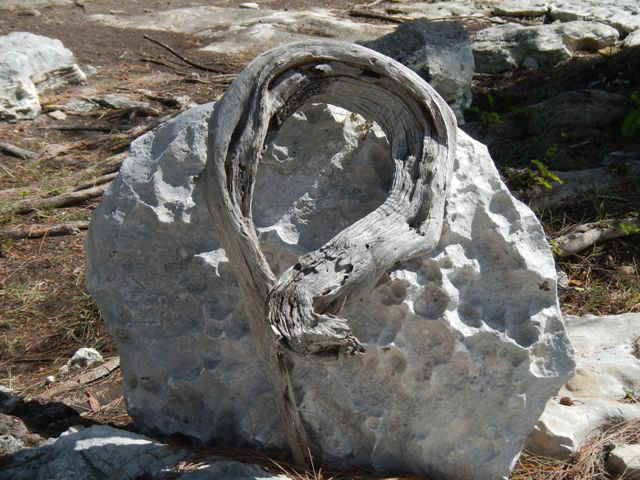 DSCN0159_146.jpg (99790 bytes)