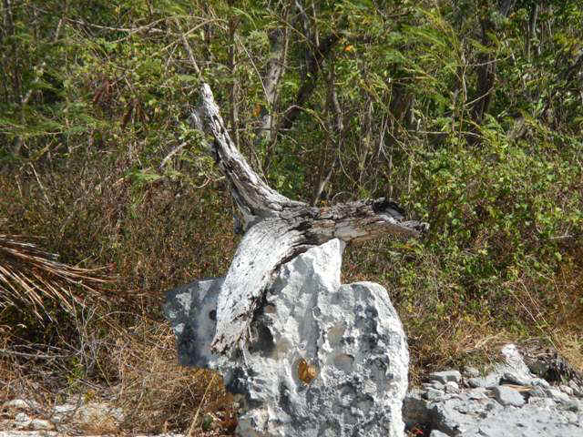 DSCN0161_148.jpg (98456 bytes)