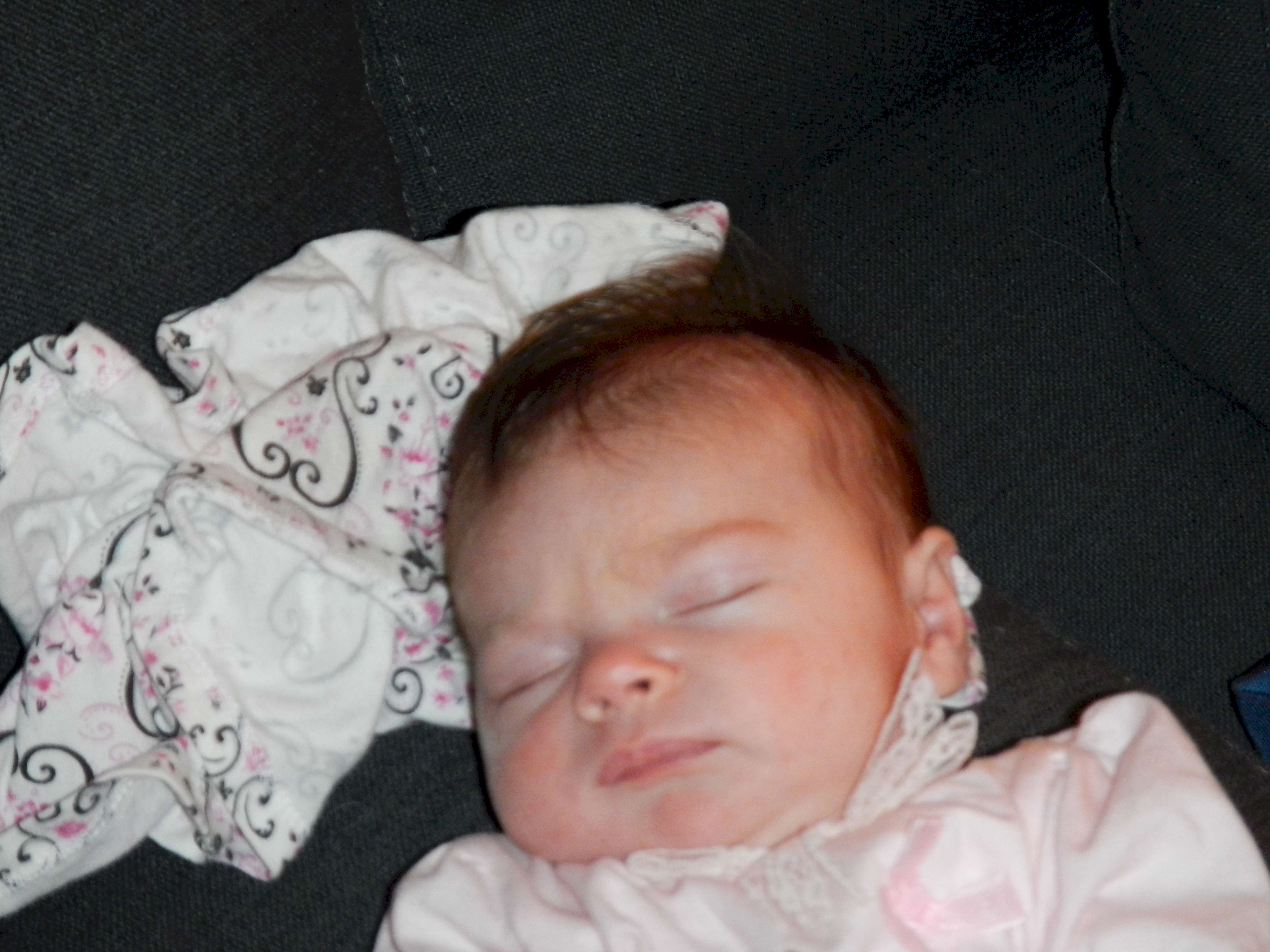 Jaiden.jpg (810362 bytes)