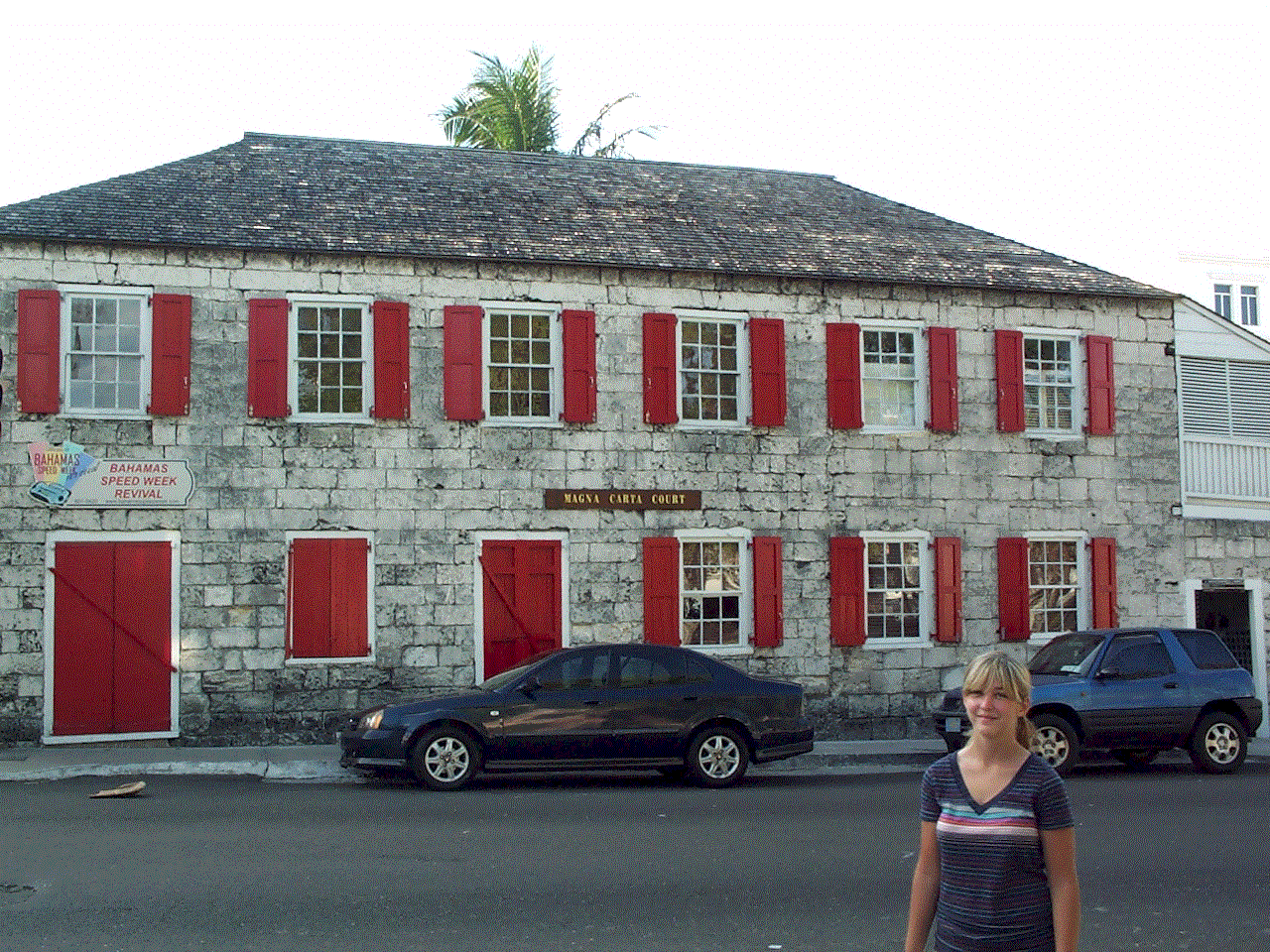 Nass_MagnaCartaHouse.gif (441325 bytes)