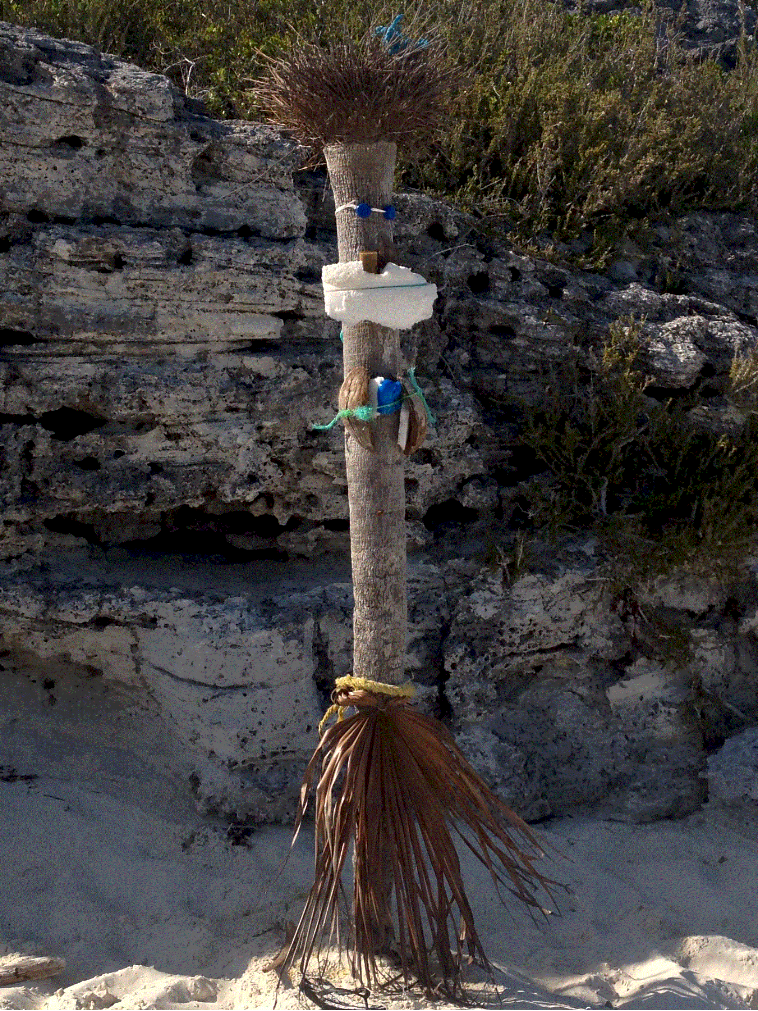 Shroud_Totem1.gif (3052708 bytes)