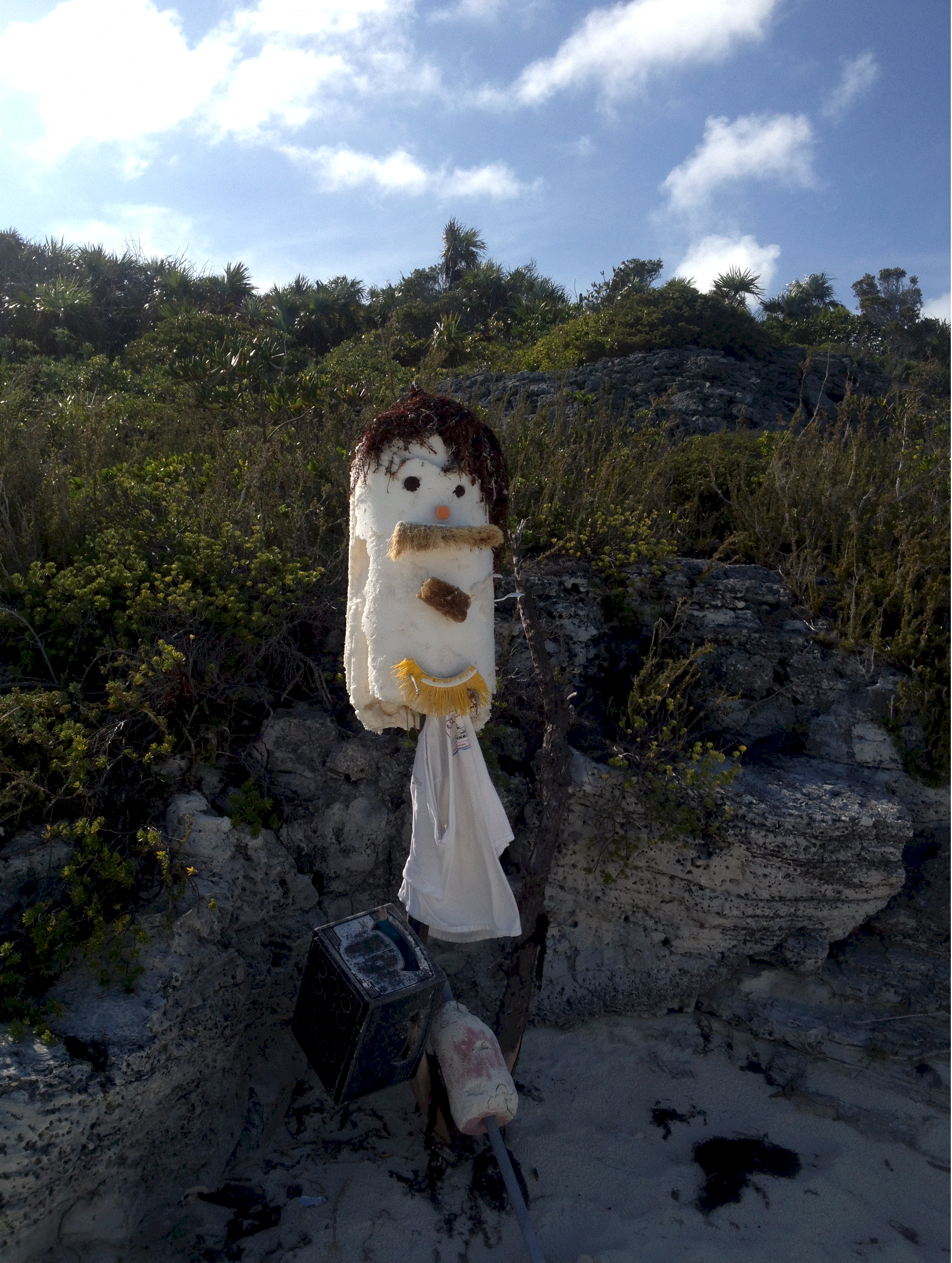 Shroud_Totem2.gif (2824330 bytes)