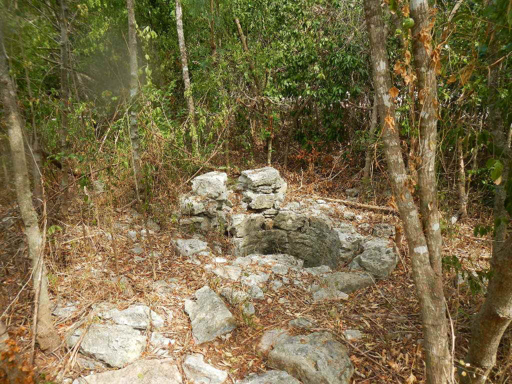 GT_Crab02_well.jpg (235419 bytes)