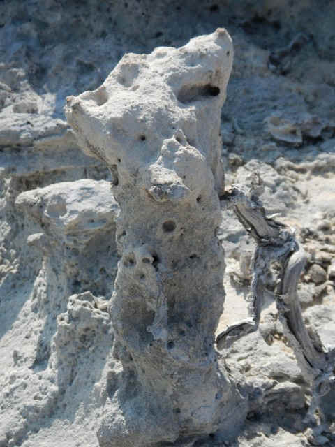 GT_Crabzilla08.jpg (108364 bytes)