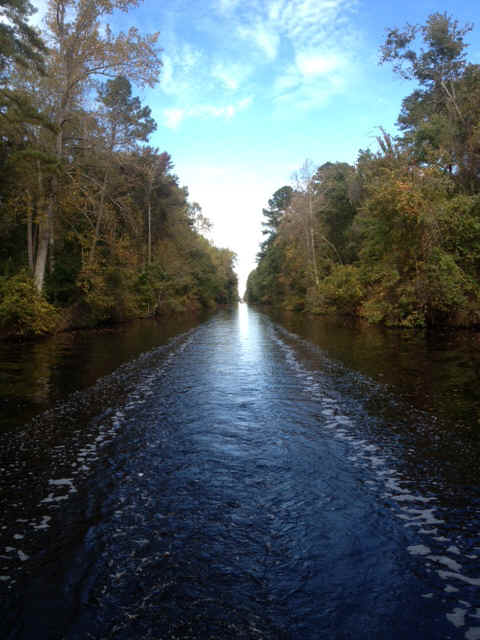 ditch01.JPG (156210 bytes)