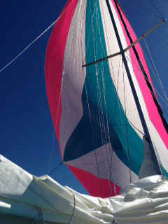 Spinnaker
