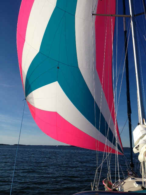 spinnaker2.JPG (120911 bytes)