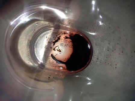 DV_sludge.jpg (54707 bytes)