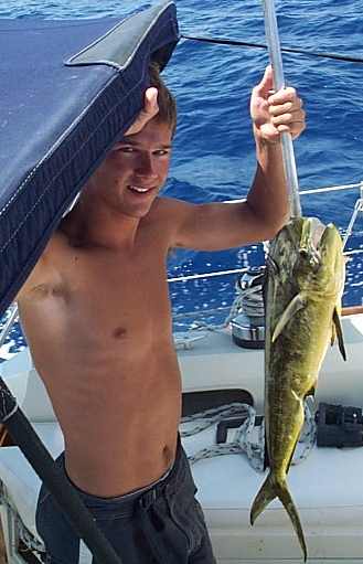 Mahi01.jpg (23757 bytes)