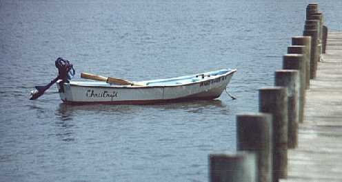 ChrisCraft99.jpg (15146 bytes)