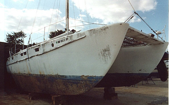 catamaran.jpg (41802 bytes)